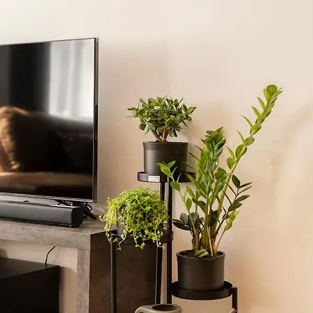Luxury In Vaclavske Namesti Apartment *