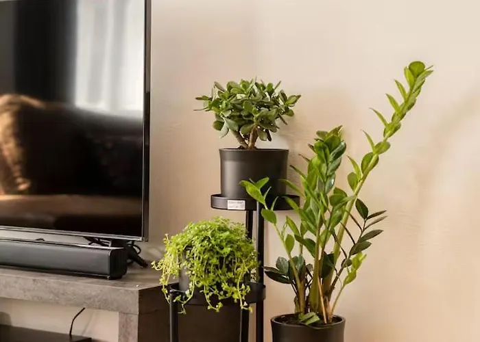 Luxury In Vaclavske Namesti Apartament *